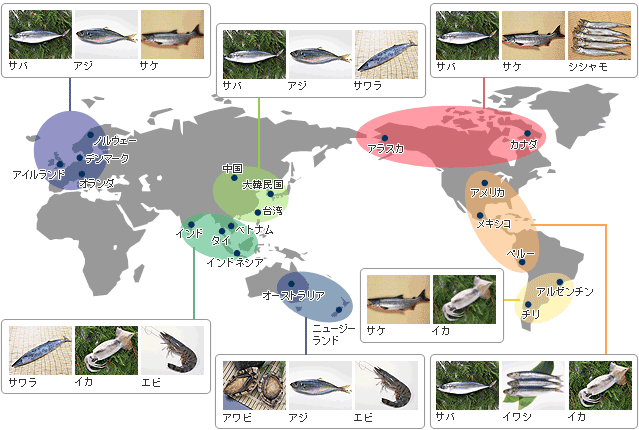 海外の取扱商品