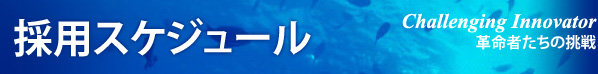 採用スケジュール