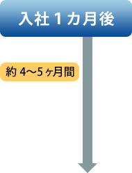 入社１ヵ月後から約4～5ヶ月間