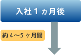 入社１ヵ月後から約4～5ヶ月間